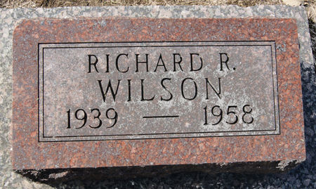 WILSON, RICHARD RAY - Taylor County, Iowa | RICHARD RAY WILSON 