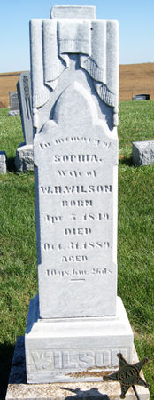 SNYDER WILSON, SOPHIA - Taylor County, Iowa | SOPHIA SNYDER WILSON 