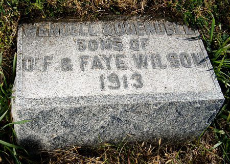 WILSON, QUENDELL MARTIN - Taylor County, Iowa | QUENDELL MARTIN WILSON 
