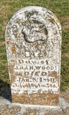 WOODS, SARAH  ELLEN - Taylor County, Iowa | SARAH  ELLEN WOODS 