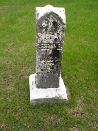 DOBBS, LESTER ALONZO - Union County, Iowa | LESTER ALONZO DOBBS 