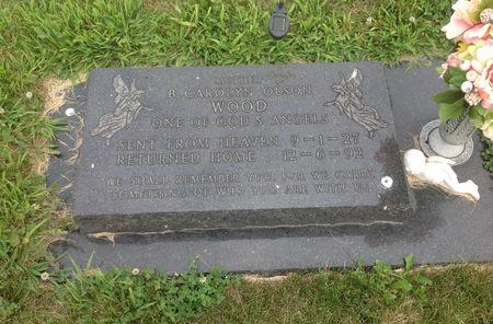 WOOD, B. CAROLYN - Union County, Iowa | B. CAROLYN WOOD 