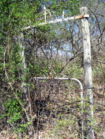 ALFREY, CEMETERY - Van Buren County, Iowa | CEMETERY ALFREY 