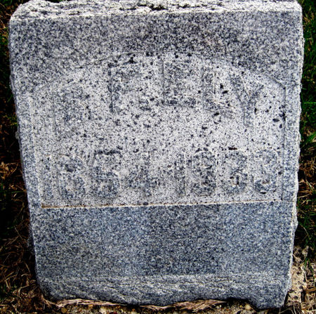 ELY, B. F. - Van Buren County, Iowa | B. F. ELY 