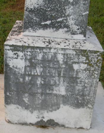 FELLOWS, LOVINA - Van Buren County, Iowa | LOVINA FELLOWS 