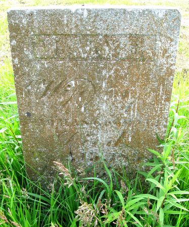 GOODALL, JANE - Van Buren County, Iowa | JANE GOODALL 