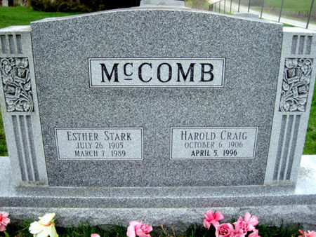STARK MCCOMB, ESTHER - Van Buren County, Iowa | ESTHER STARK MCCOMB 