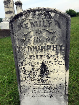 RABB MURPHY, EMILY - Van Buren County, Iowa | EMILY RABB MURPHY 