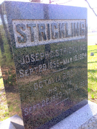STRICKLING, OCTAVIA - Van Buren County, Iowa | OCTAVIA STRICKLING 