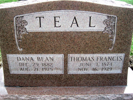 TEAL, DANA - Van Buren County, Iowa | DANA TEAL 