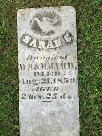 WARD, SARAH G. - Van Buren County, Iowa | SARAH G. WARD 