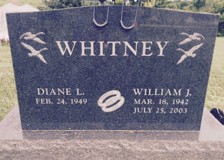 WHITNEY, WILLIAM J. - Van Buren County, Iowa | WILLIAM J. WHITNEY 