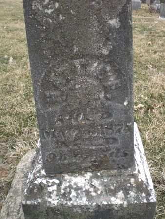 BEAGLE, HATTIE A. - Wapello County, Iowa | HATTIE A. BEAGLE 