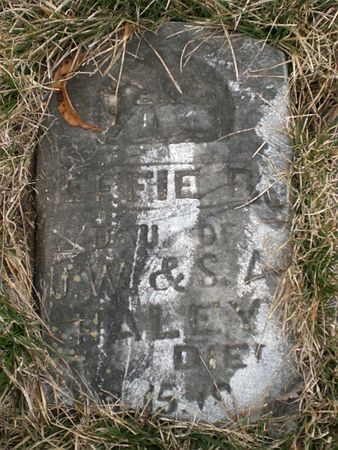 HALEY, EFFIE B. - Wapello County, Iowa | EFFIE B. HALEY 