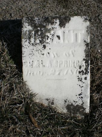 SPRINGER, INFANT SON - Wapello County, Iowa | INFANT SON SPRINGER 