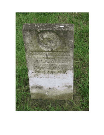 ALLEN, SYLVESTER W. - Warren County, Iowa | SYLVESTER W. ALLEN 