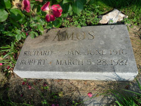 AMOS, ROBERT - Warren County, Iowa | ROBERT AMOS 