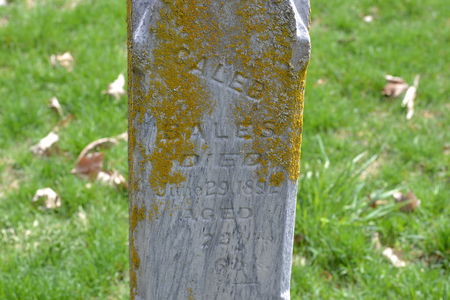 BALES, CALEB - Warren County, Iowa | CALEB BALES 