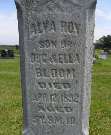 BLOOM, ALVA ROY - Warren County, Iowa | ALVA ROY BLOOM 