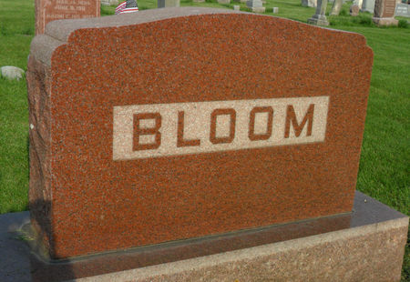 BLOOM, FAMILY STONE - Warren County, Iowa | FAMILY STONE BLOOM 