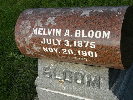 BLOOM, MELVIN A. - Warren County, Iowa | MELVIN A. BLOOM 