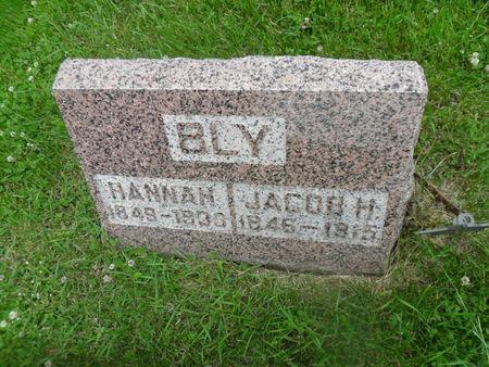 BLY, JACOB H. - Warren County, Iowa | JACOB H. BLY 