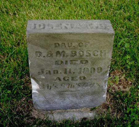 BOSCH, IOLENA T.D. - Warren County, Iowa | IOLENA T.D. BOSCH 
