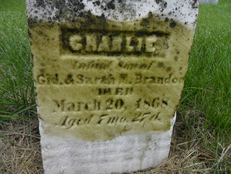 BRANDON, CHARLIE - Warren County, Iowa | CHARLIE BRANDON 