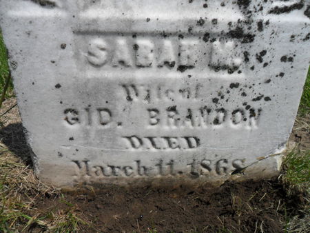 BRANDON, SARAH M. - Warren County, Iowa | SARAH M. BRANDON 