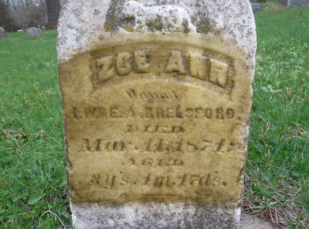 BRELSFORD, ZOE ANN - Warren County, Iowa | ZOE ANN BRELSFORD 