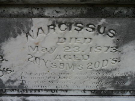 BRUCE, NARCISSUS - Warren County, Iowa | NARCISSUS BRUCE 