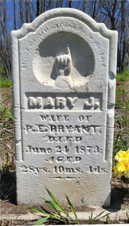 BRYANT, MARY J. - Warren County, Iowa | MARY J. BRYANT 