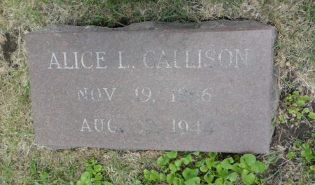 CALLISON, ALICE L. - Warren County, Iowa | ALICE L. CALLISON 