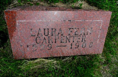 CARPENTER, LAURA FERN - Warren County, Iowa | LAURA FERN CARPENTER 