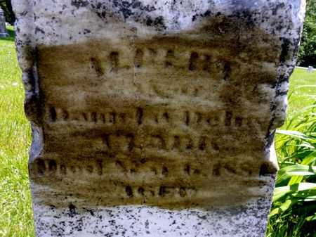 CLARK, ALBERT - Warren County, Iowa | ALBERT CLARK 