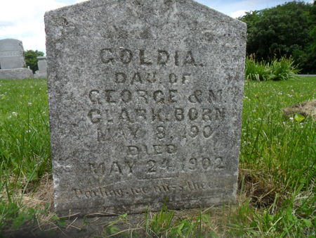 CLARK, GOLDIA - Warren County, Iowa | GOLDIA CLARK 