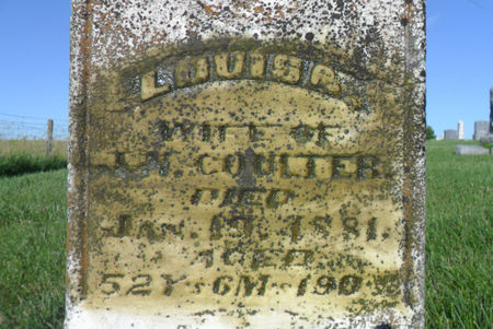 COULTER, LOUISA - Warren County, Iowa | LOUISA COULTER 