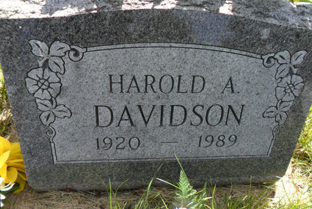 DAVIDSON, HAROLD A. - Warren County, Iowa | HAROLD A. DAVIDSON 