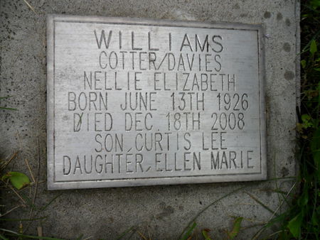 DAVIES, NELLIE ELIZABETH - Warren County, Iowa | NELLIE ELIZABETH DAVIES 