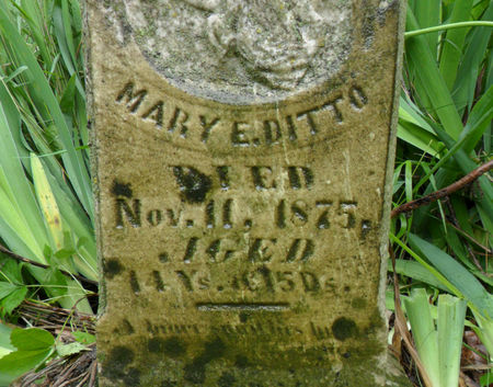 DITTO, MARY E. - Warren County, Iowa | MARY E. DITTO 
