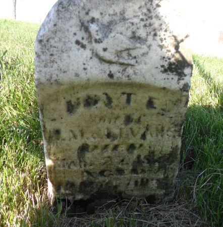 EVANS, HOYT E. - Warren County, Iowa | HOYT E. EVANS 