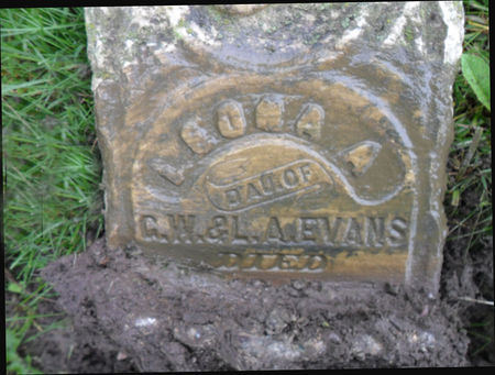 EVANS, LEONA A. - Warren County, Iowa | LEONA A. EVANS 