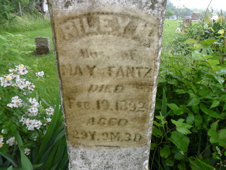 FANTZ, RILEY N. - Warren County, Iowa | RILEY N. FANTZ 