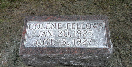FELLOWS, COLENE - Warren County, Iowa | COLENE FELLOWS 