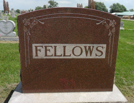 FELLOWS, FAMILY STONE - Warren County, Iowa | FAMILY STONE FELLOWS 