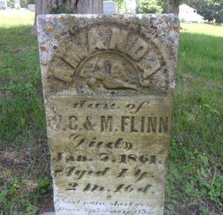 FLINN, AMANDA - Warren County, Iowa | AMANDA FLINN 