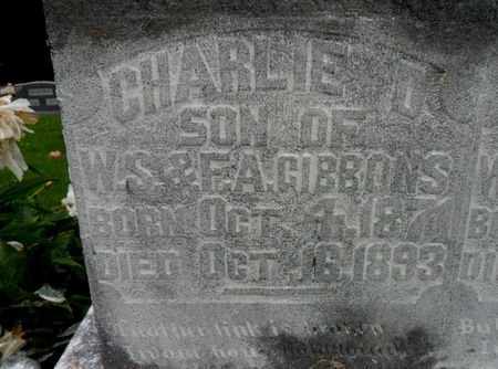 GIBBONS, CHARLES D. - Warren County, Iowa | CHARLES D. GIBBONS 