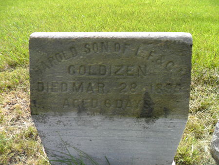 GOLDIZEN, HAROLD - Warren County, Iowa | HAROLD GOLDIZEN 