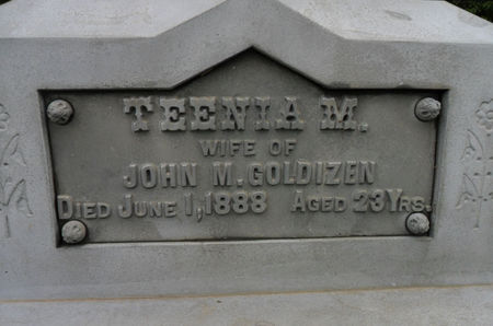 GOLDIZEN, TEENIA M. - Warren County, Iowa | TEENIA M. GOLDIZEN 