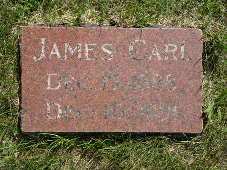 GWINN, JAMES CARL - Warren County, Iowa | JAMES CARL GWINN 
